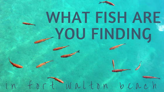 fishing in fort walton beach
