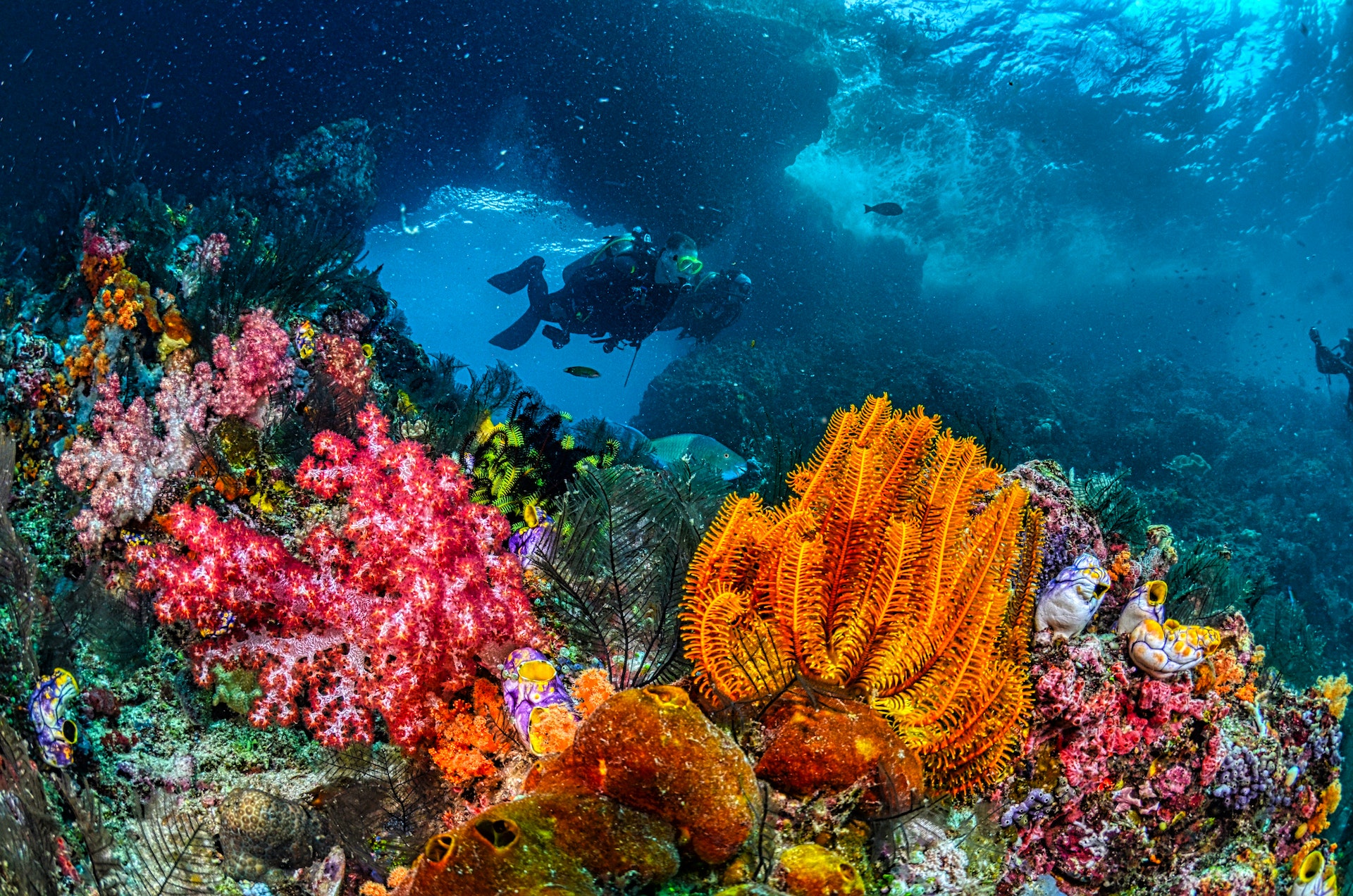Fort Walton Beach Scuba Diving